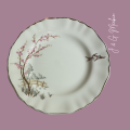 17cm Bread and Butter Plate- One fine Day, Cherry blossom, Pink, c1912