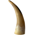 Handcrafted Polished Horn Maraca with Engraved Grass and Leaves