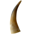 Handcrafted Polished Horn Maraca with Engraved Grass and Leaves