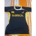 Springbok Player Training jersey _XL