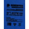 Sunertec Gel Battery 100 Ah Slim Line Gel Battery 12V -