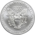 2013 1 oz American Silver Eagle Coin (Old Date)
