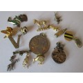 ASSORTED BROOCHES / PINS and CHARMS (LOT) A