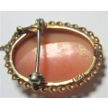 Cameo Shell Brooch with Safety Chain 9ct Gold Trim