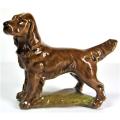 Red Setter Mother 1973 to 1982 Wade Dog and Puppies