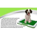 Dog Potty Trainer