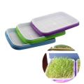 Double Deck Sprout Seedling Dish
