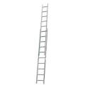 Pride Push Up (6m) Ladder