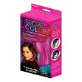 Secret Color Hair Extensions