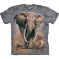 African Elephant T Shirt