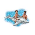 Dolphin Ride On