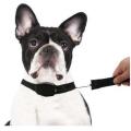 2 in 1 Retractable Leash and Magnetic Collar