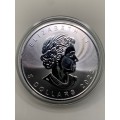 2022   CANADIAN MAPLE LEAF   1oz   .999.9%    .PURE SOLID SILVER