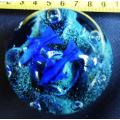 collectable glass paperweight with  blue fish swimming over blue coral