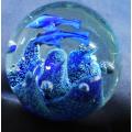 collectable glass paperweight with  blue fish swimming over blue coral