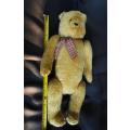 Very collectable rare teddy bear from bear basics in simonstown. not available any more