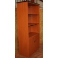A LARGE CHERRY WOOD CUPBOARD PERFECT FOR OFFICE OR YOUR BOOK COLLECTION