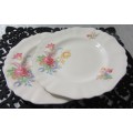 TWO ABSOLUTELY BEAUTIFUL AND TRULY ELEGANT DINNER PLATES J&G MEAKIN OF ENGLAND ROSE & RIBON SERIES"