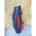 A FANTASTIC VINTAGE ICEMAN GOLF BAG IN GOOD CONDITION!!!