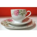 A STYLISH CRISP WHITE FINE PORCELAIN TEA CUP TRIO  DECORATED WITH GORGEOUS PIENK ROSES & LUSH GREAN