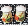Beautiful light cream colored porcelain salt and pepper shaker with stylized  raised  - BI