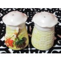 Beautiful light cream colored porcelain salt and pepper shaker with stylized  raised  - BI