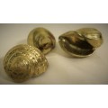 THREE  Brass Seashells Wall Plaques Sea Shell Beach Decor - Nautical Brass