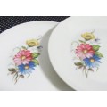 FOUR GORGEOUS PIONEER PORCELAIN SIDE PLATES DECORATED WITH BEAUTIFUL BRIGHT FLOWERS BID PER EACH