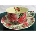 A STUNNING FLORAL VICTORIAN ROSE CUP & SAUCER BY WILLIAM JAMES -