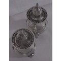 This is Really Elegant Silver Plated Salt and Pepper shakers. The legs are detailed with a lion face