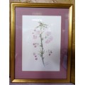 A GORGEOUS FLORAL STILL LIVE WATERCOLOR BY SERENA SHAW FOR THAT COUNTRY FEEL IN YOUR HOME.