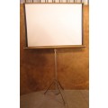 A MARVELOUS VINTAGE PROJECTOR SCREEN IN GOOD CONDITION