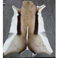Very soft good quality Springbok hide