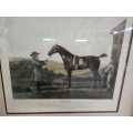 DIOMED Vintage Framed Horse Picture Behind Glass 50 x 59cm