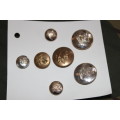 Southern Rhodesian Airforce Buttons with lugs various