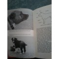 The Staffordshire Bull Terrier by W M Morley