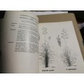 COMMON GRASSES OF THE ORANGE FREE STATE B R ROBERTS