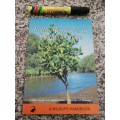 IN THE MANGROVES OF SOUTHERN AFRICA A Wildlife Handbook