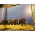 AFRICAN WILDLIFE EXPOSED A CELEBRATION OF NATURE PHOTOGRAPHY GREG du TOIT