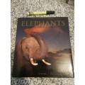 ELEPHANTS GENTLE GIANTS OF KAPAMA VAN DER BERG   (   wildlife elephant )