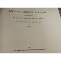 KNYSNA FOREST SCENERY SKETCHES by W D DE VIGNON VAN ALPHEN 1957 Garden Route Tsitsikama Eastern Cape