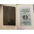 THE CALL OF THE WILD  by JACK LONDON  Hardcover Reprint May 1908