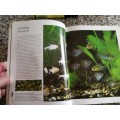 THE COMPLETE GUIDE TO AQUARIUM FISHKEEPING MARY BAILEY GINA SANDFORD (  tropical fish )