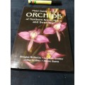 A FIELD GUIDE TO THE ORCHIDS OF NORTHERN SOUTH AFRICA & SWAZILAND DOUGLAS McMURTRY et al wildflowers
