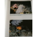 PHOTOGRAPHIC STUDY OF ALIWAL SHOAL REVISED EDITION LIMITED EDITION A D CONNELL scuba diving