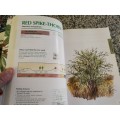 SAPPI TREE SPOTTING LOWVELD Tree identification made easy