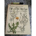 MARGARET ROBERTS BOOK OF HERBS THE MEDICINAL and CULINARY USES OF HERBS in SOUTH AFRICA