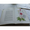 FLOWERS OF SOUTHERN AFRICA AURIOL BATTEN Limited Edition