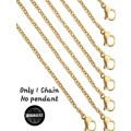 1 x Stainless Steel Chsin & Clasp - Gold Color