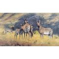 David Shepherd O.B.E. - Mountain Zebra: A Vision in Black and White - Signed Limited Print